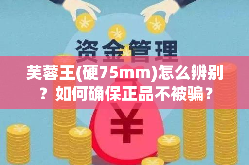 芙蓉王(硬75mm)怎么辨别？如何确保正品不被骗？